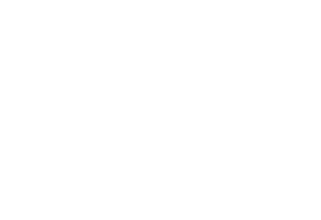 Vector